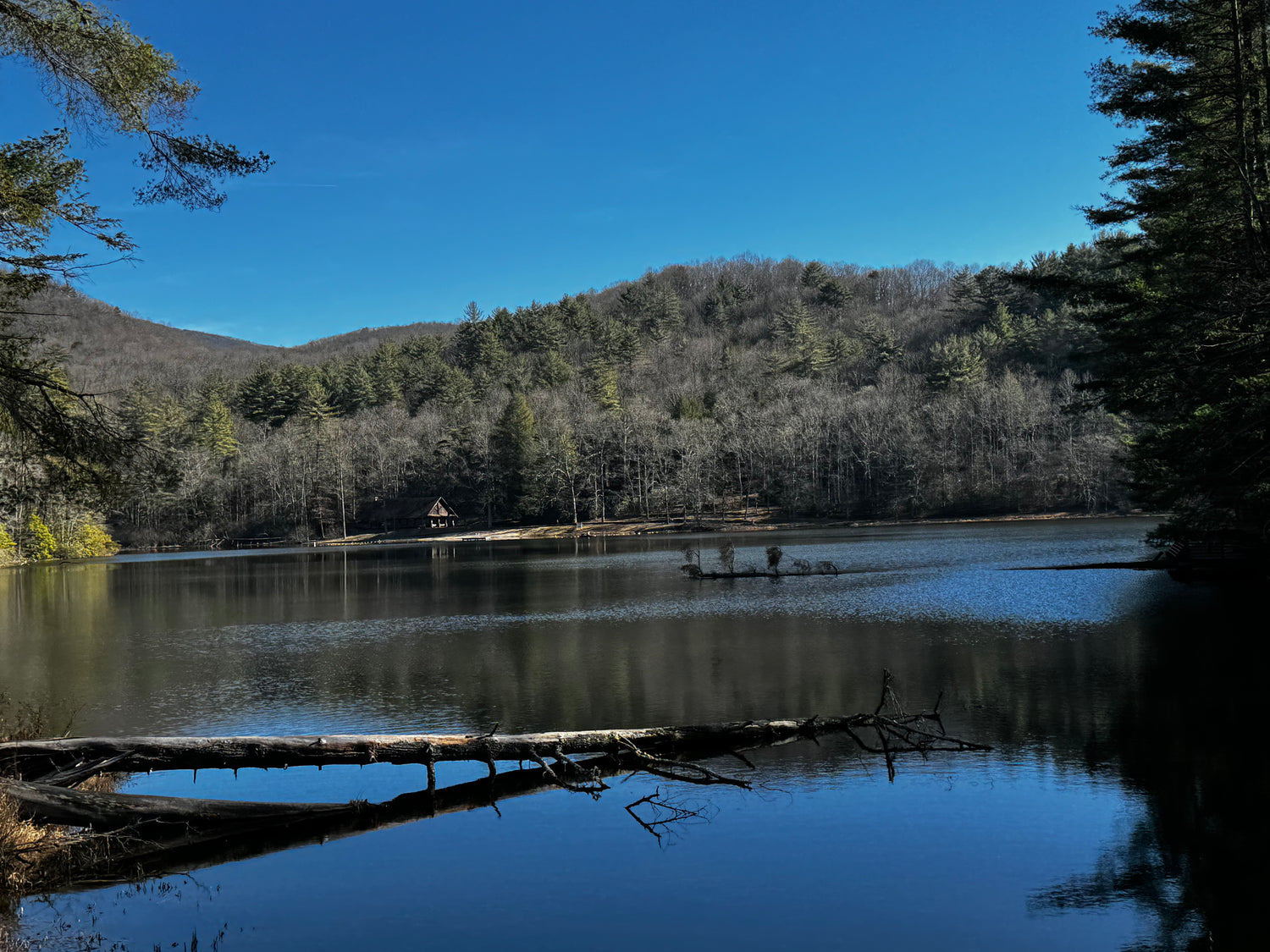 ~ Breeper Creepers & Georgia Off Road Rigs ~
