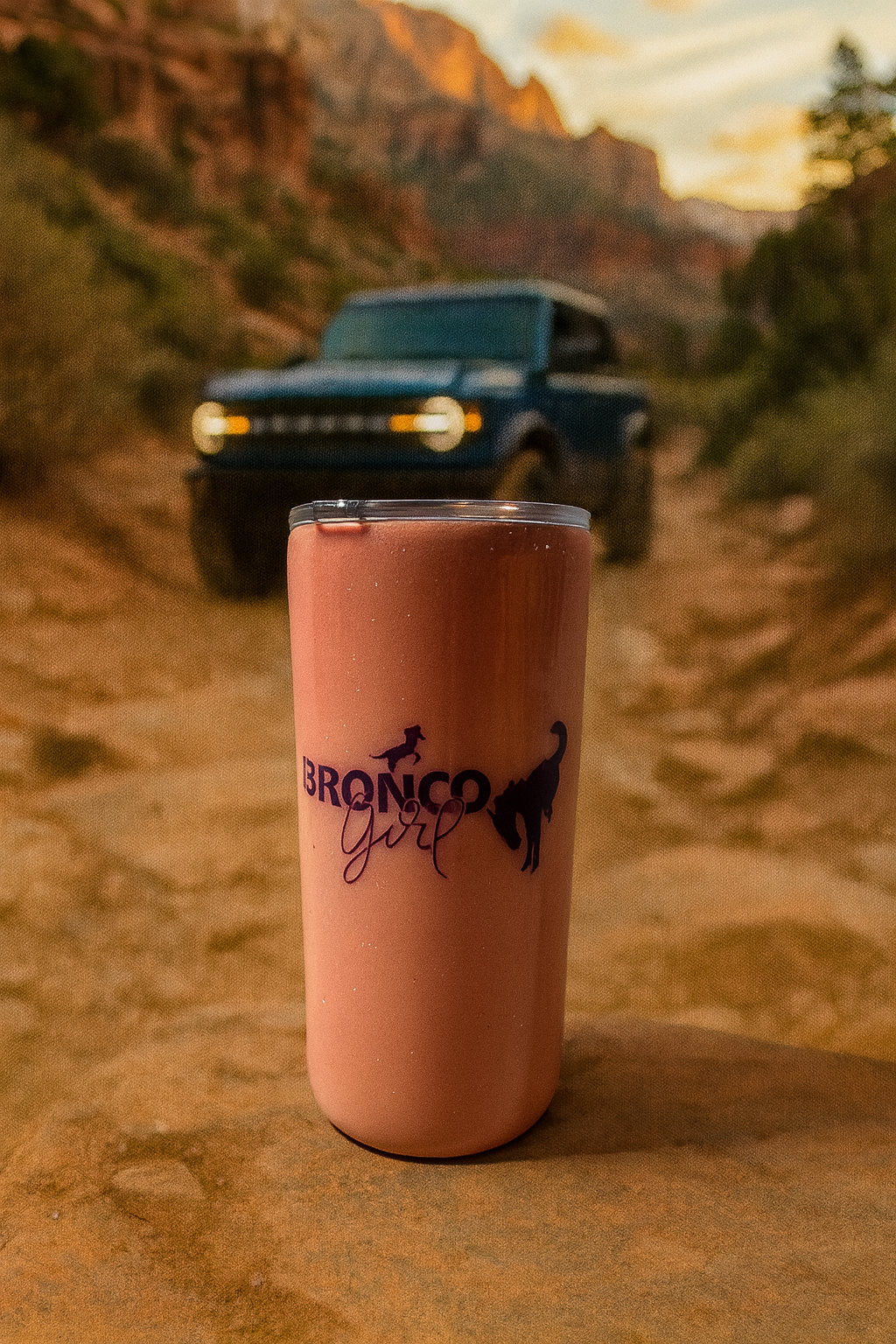 Bronco #2